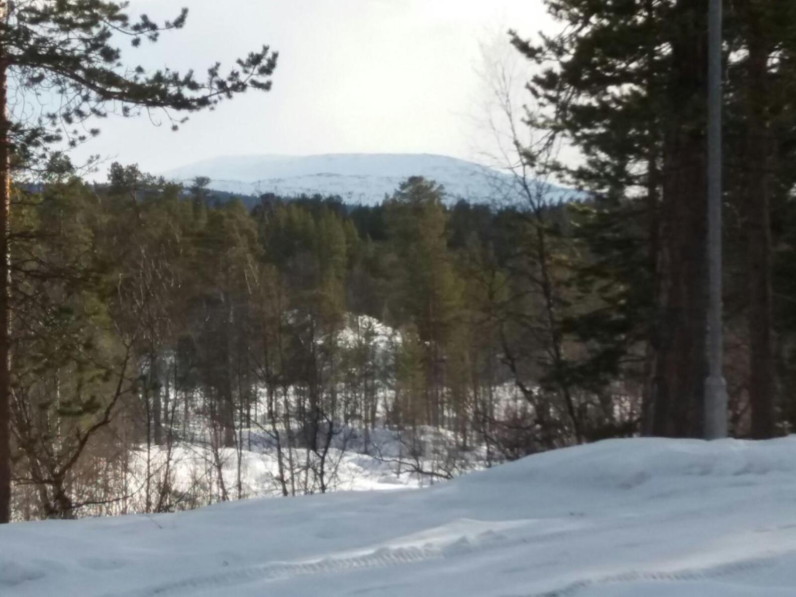 Paltto Elaemysretket Villa Lemmenjoki Oda fotoğraf